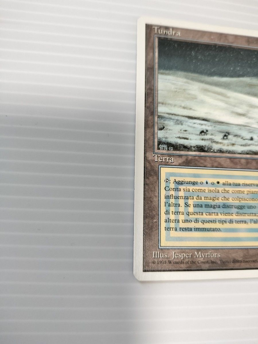 MTG Tundra 3ED イタリア語版|Yahoo!フリマ(旧PayPayフリマ) MTG Tundra 3ED イタリア語版|Yahoo!フリマ(旧PayPayフリマ)