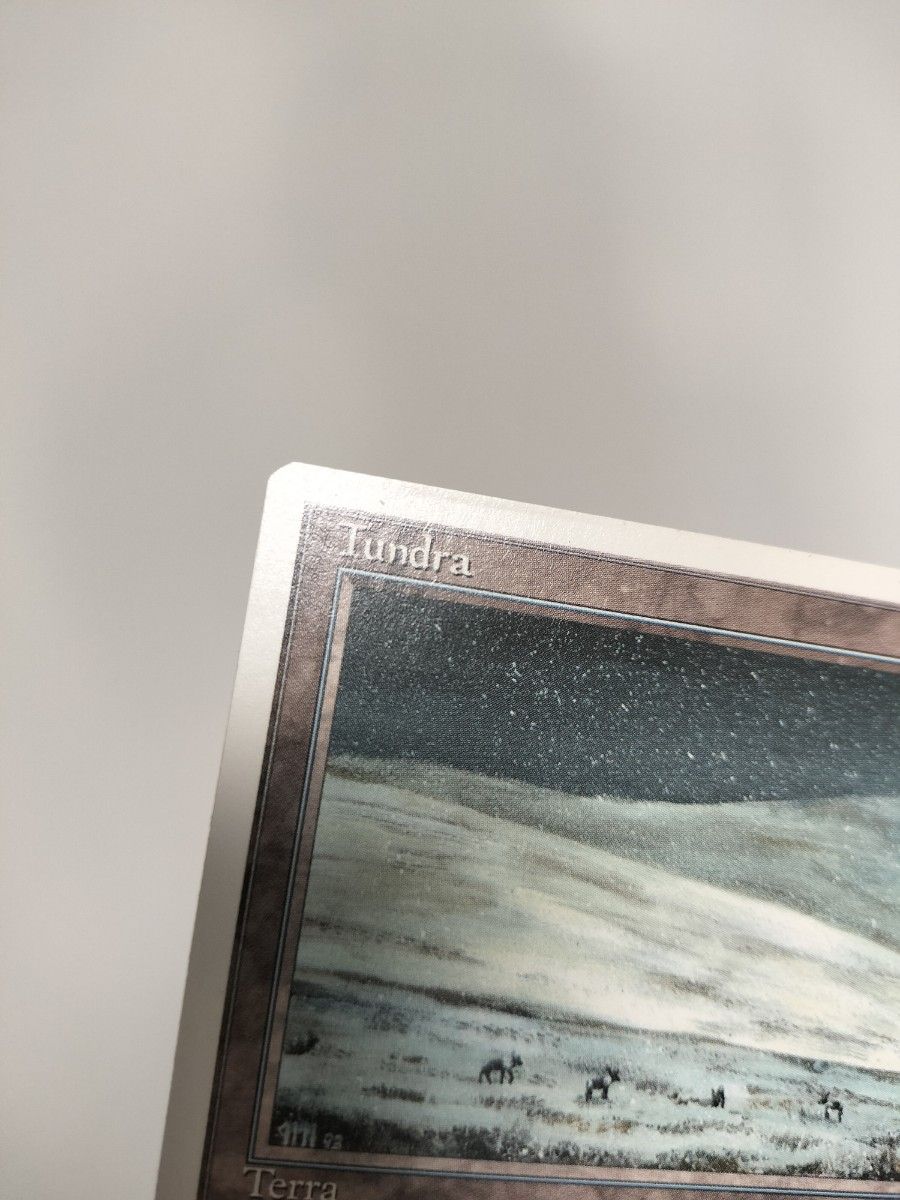 MTG Tundra 3ED イタリア語版|Yahoo!フリマ(旧PayPayフリマ) MTG Tundra 3ED イタリア語版|Yahoo!フリマ(旧PayPayフリマ)