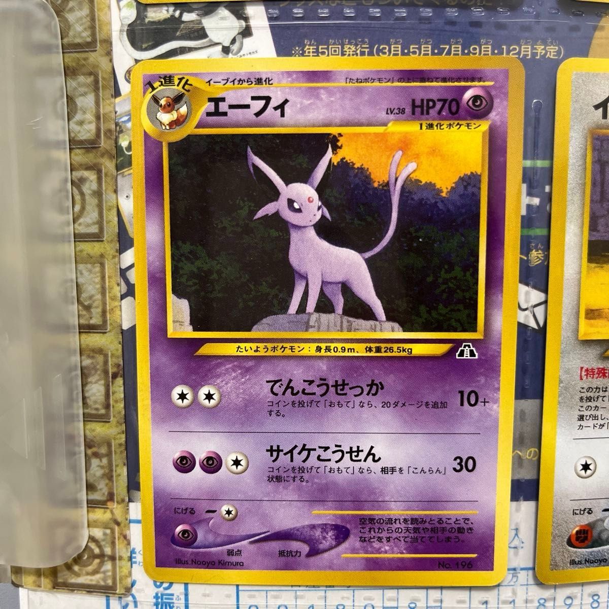ポケモンカードneo プレミアムファイル第2弾 遺跡をこえて ポケモンカードneo プレミアムファイル第2弾 遺跡をこえて