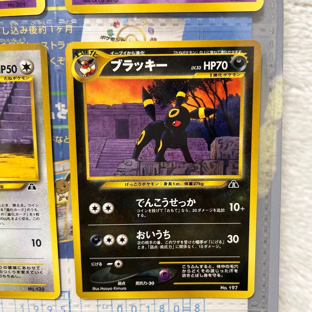 ポケモンカードneo プレミアムファイル第2弾 遺跡をこえて ポケモンカードneo プレミアムファイル第2弾 遺跡をこえて