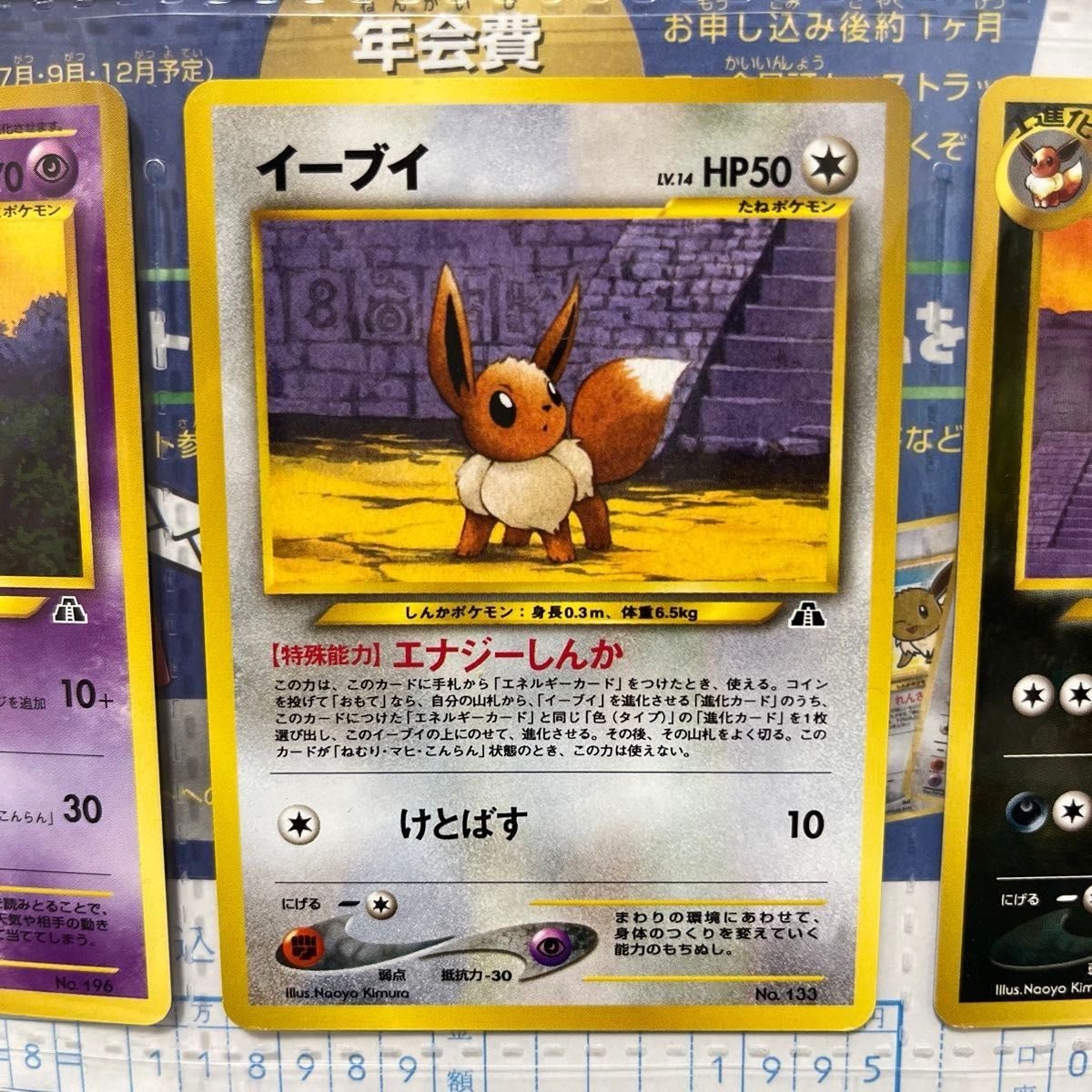 ポケモンカードneo プレミアムファイル第2弾 遺跡をこえて ポケモンカードneo プレミアムファイル第2弾 遺跡をこえて
