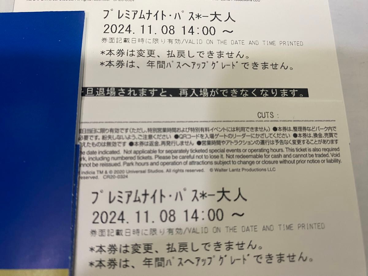 2名様【任天堂エリア入場確約付き】USJ 貸切イベント JAL 2名様【任天堂エリア入場確約付き】USJ 貸切イベント JAL