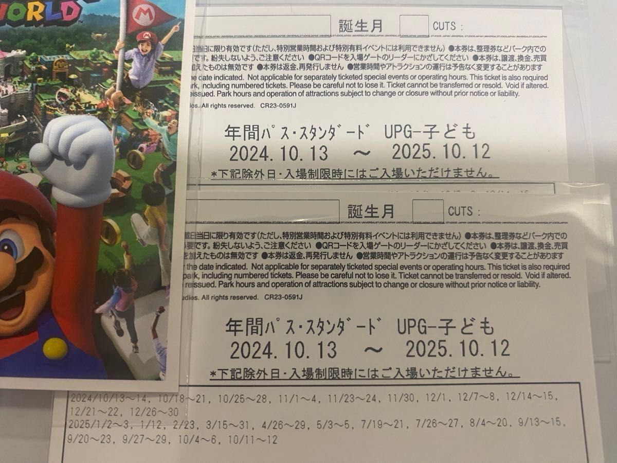 未使用【大人 年パス 1枚】USJ チケット ワンデイパス 入場券 1 未使用【大人 年パス 1枚】USJ チケット ワンデイパス 入場券 1