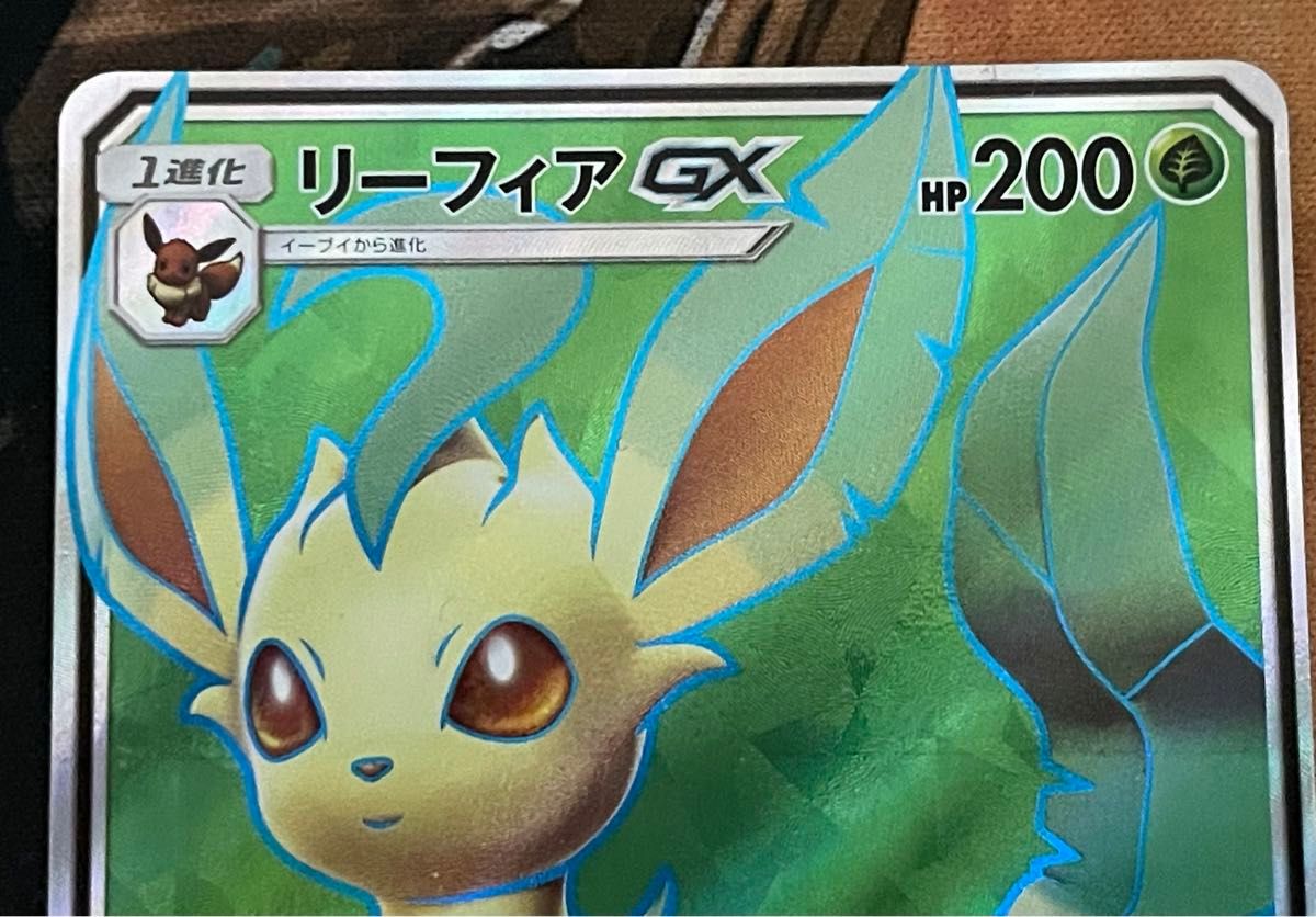 ポケモンカード リーフィアEX 192/XY-P リーフィアGX SR 067/066 ポケモンカード リーフィアEX 192/XY-P リーフィアGX SR 067/066