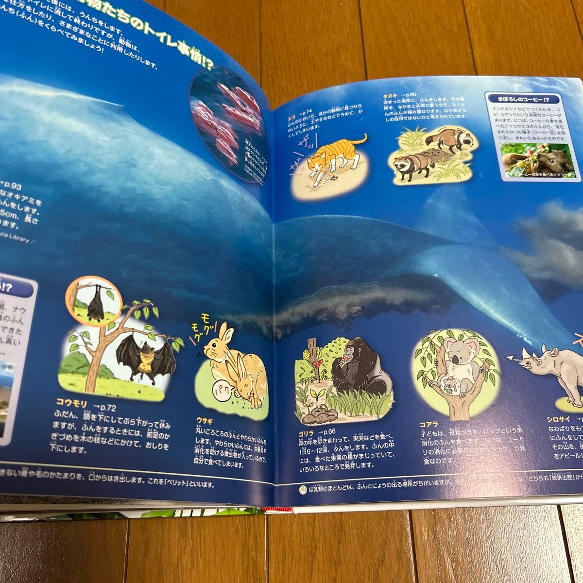 小学館の図鑑NEO くらべる図鑑 もっとくらべる図鑑 2冊まとめ 小学館の図鑑NEO くらべる図鑑 もっとくらべる図鑑 2冊まとめ