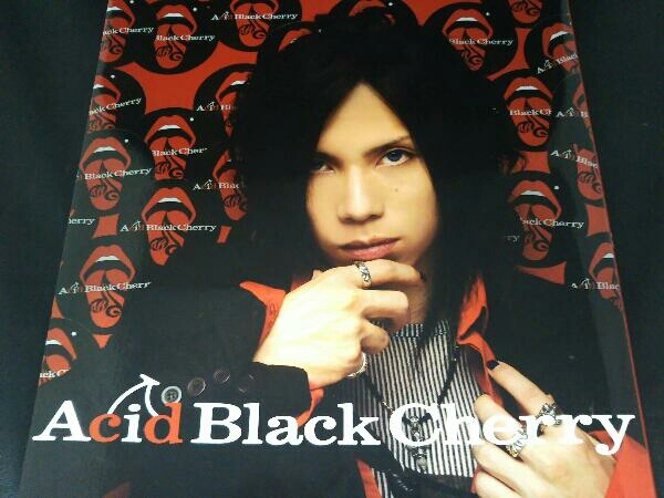 ヤフオク 現状品 Acid Black Cherry写真集 Acid Black Cherry