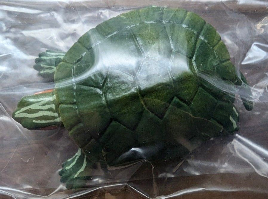 あそべる生物フィギュアシリーズ 世界の亀たち2 アカミミガメA あそべる生物フィギュアシリーズ 世界の亀たち2 アカミミガメA