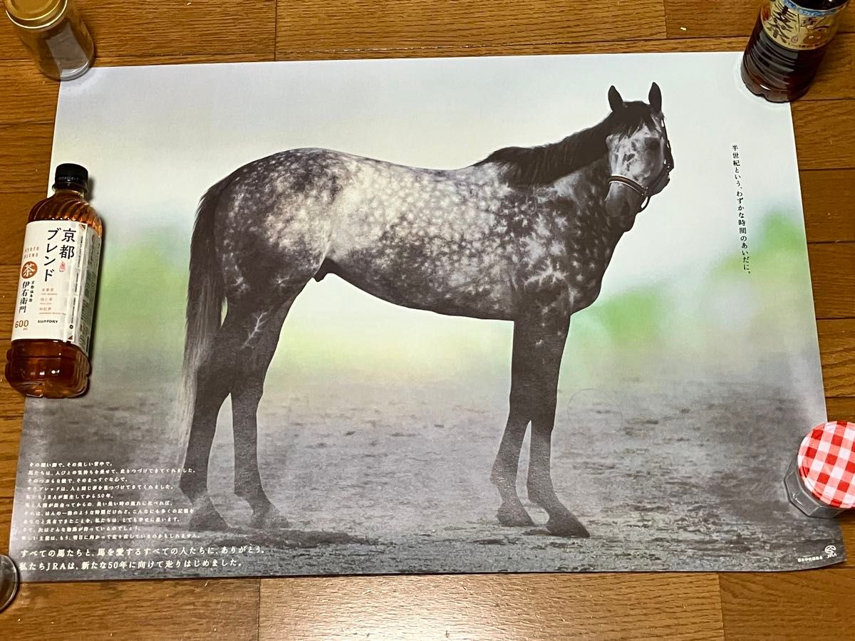 レア 非売品 未展示 B2ポスター メジロマックイーン JRA 日本 レア 非売品 未展示 B2ポスター メジロマックイーン JRA 日本
