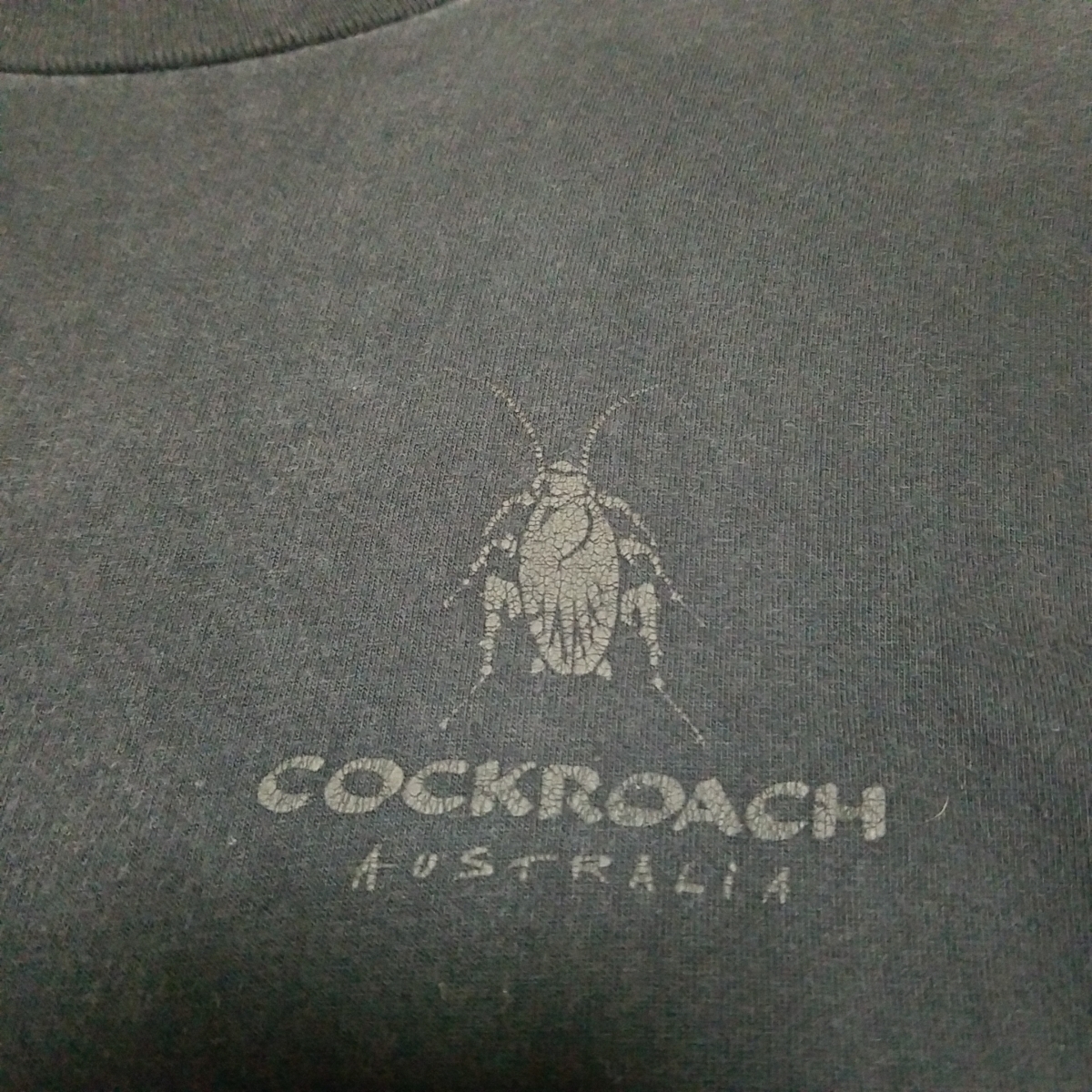 cockroach Tシャツ　サイズL コックローチ　スケートボード　ヴィンテージ　オーストラリア　Usa製　oneita_画像3