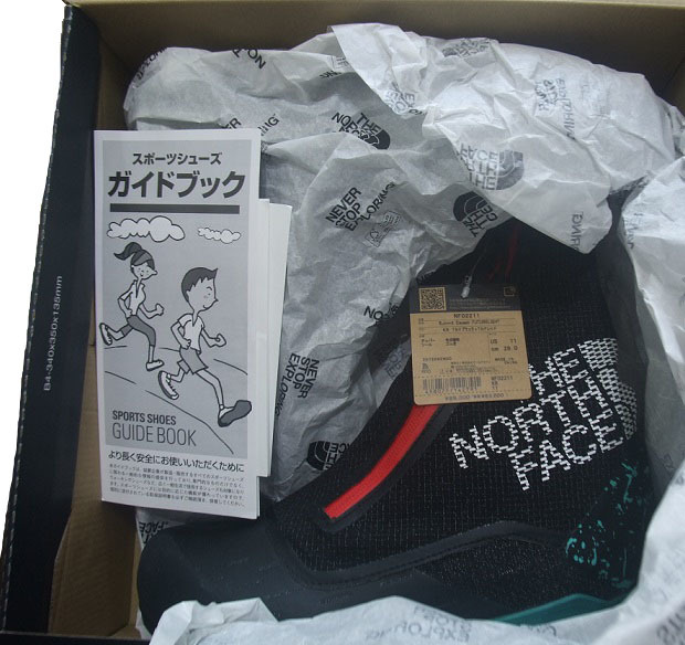 ノースフェイス サミット カイエス フューチャーライト 29cm THE ノースフェイス サミット カイエス フューチャーライト 29cm THE