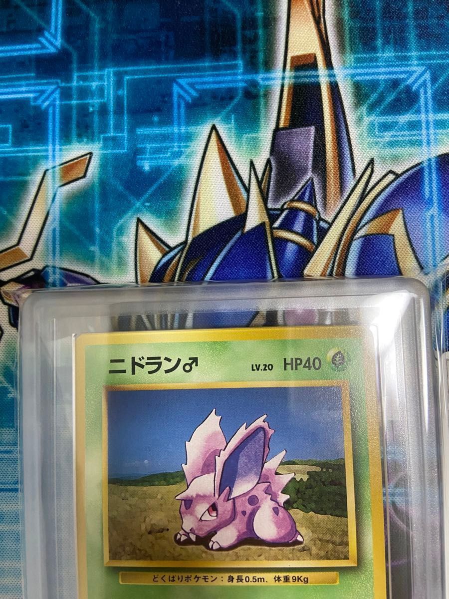 ニドラン 初版 マークなし 1996 ARS10 ポケモンカード 旧裏面 旧 ニドラン 初版 マークなし 1996 ARS10 ポケモンカード 旧裏面 旧