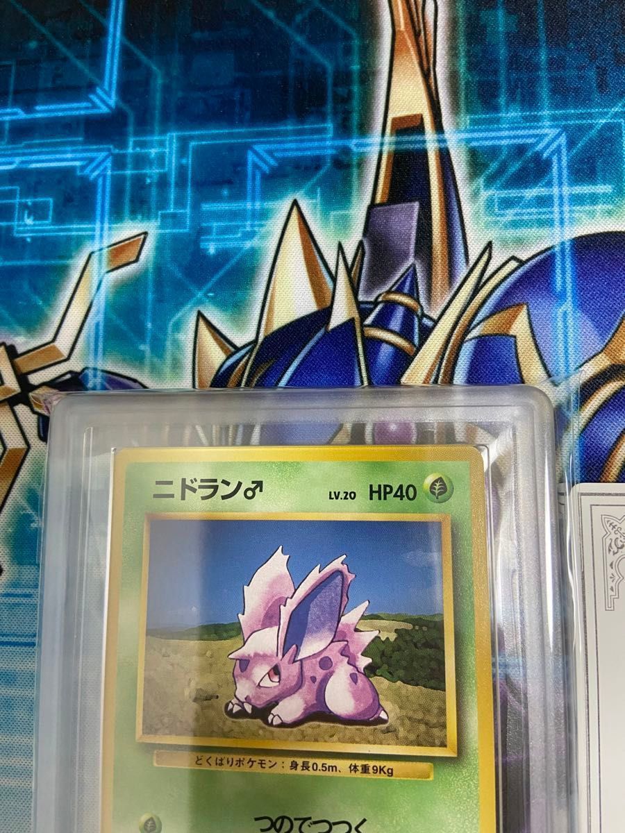 ニドラン 初版 マークなし 1996 ARS10 ポケモンカード 旧裏面 旧 ニドラン 初版 マークなし 1996 ARS10 ポケモンカード 旧裏面 旧