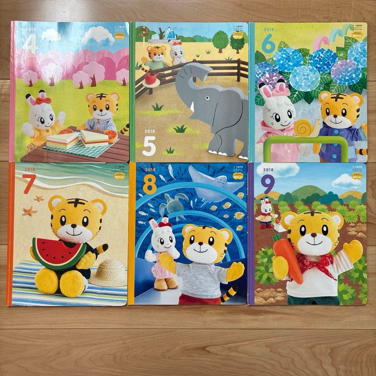 新品未使用☆こどもちゃれんじ ぽけっと 2018 メイン教材 ベネッセ こどもちゃれんじ ぽけっと 2018年4月〜9月 半年分 6