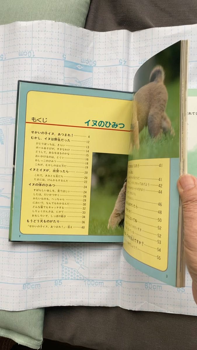 講談社カラー科学大図鑑 イヌのひみつ