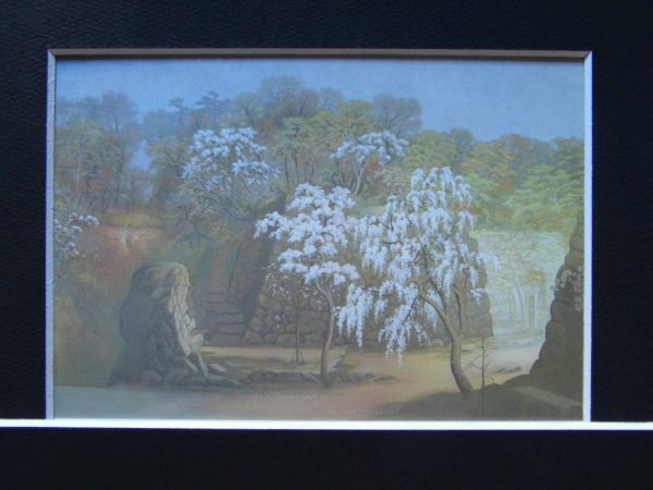. sphere hope,[ light ... spring. old castle ], rare book of paintings in print ..., condition excellent, new goods high class frame attaching, free shipping, Japanese picture Japanese picture Sakura 