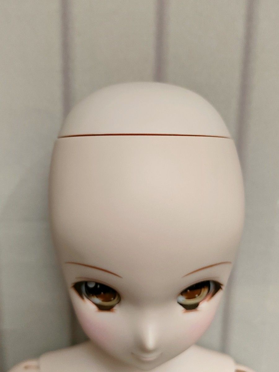 スマートドール Smart Doll 末永みらい 廃盤品 ドールハート スマートドール Smart Doll 末永みらい 廃盤品 ドールハート