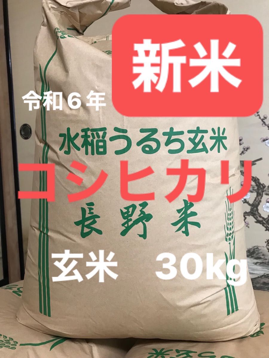 新米】令和6年 長野県産コシヒカリ 30kg 玄米 農家直送|Yahoo 新米】令和6年 長野県産コシヒカリ 30kg 玄米 農家直送|Yahoo