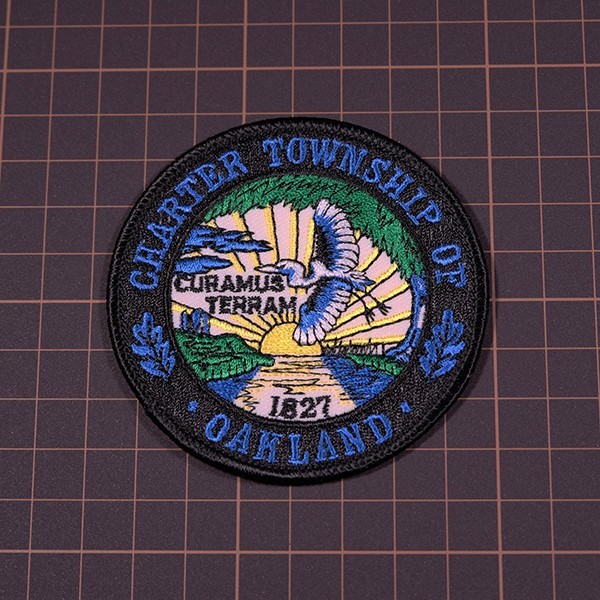 ZE89 CHARTER TOWNSHIP OF OAKLAND 丸形 ワッペン パッチ ロゴ エンブレム USA アメリカ 米国 輸入雑貨 鳥 刺繍_画像3