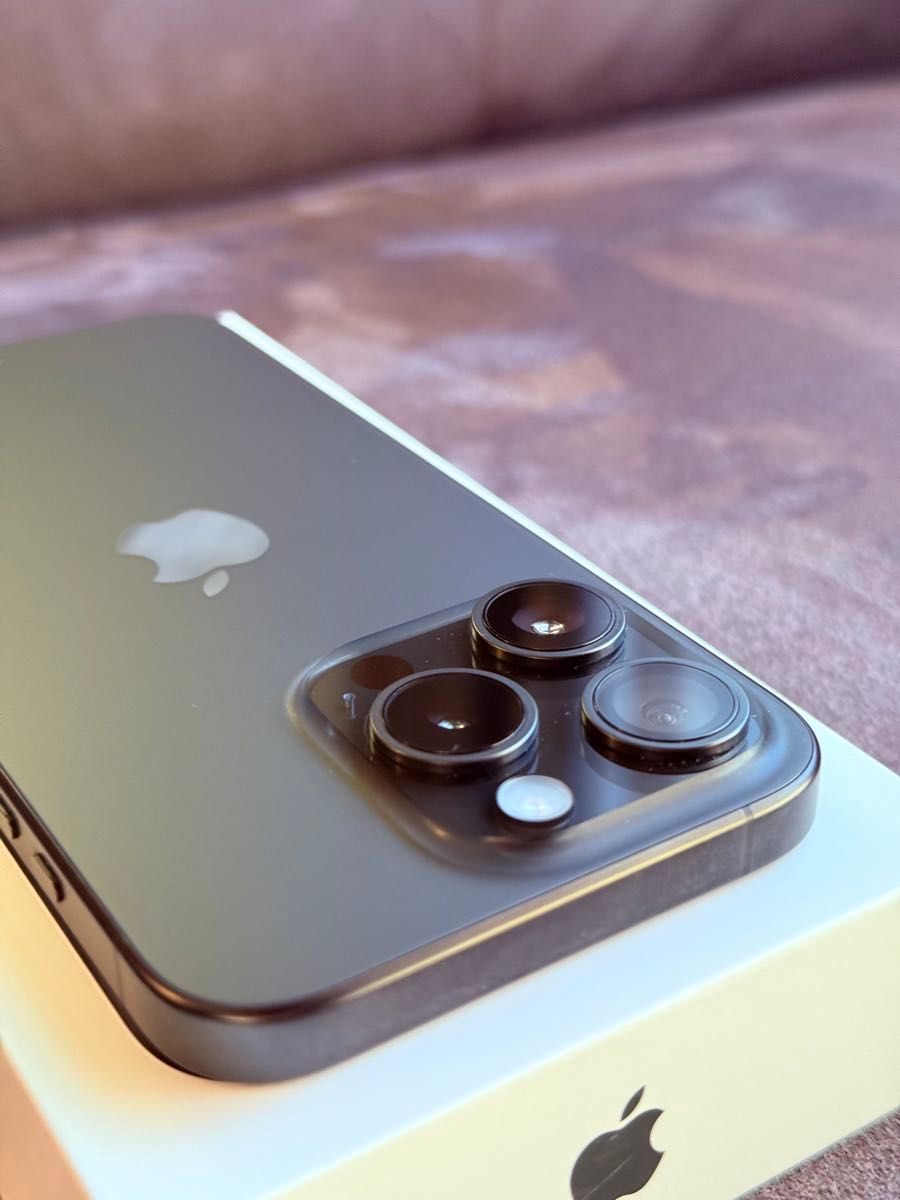 美品 バッテリー95% iPhone 15 Pro 256GB ブラックチタニウム 美品 バッテリー95% iPhone 15 Pro 256GB ブラックチタニウム