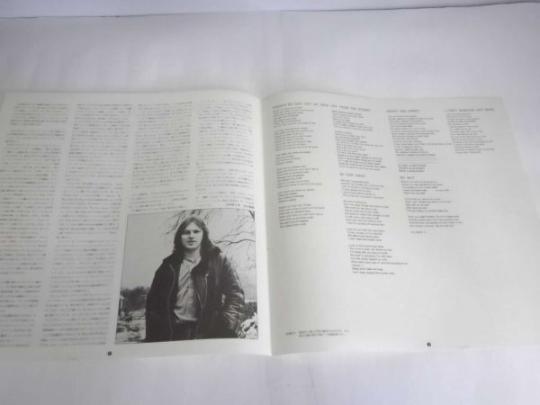 [LP]David Gilmour David *giru moa ( розовый * floyd )25AP1077