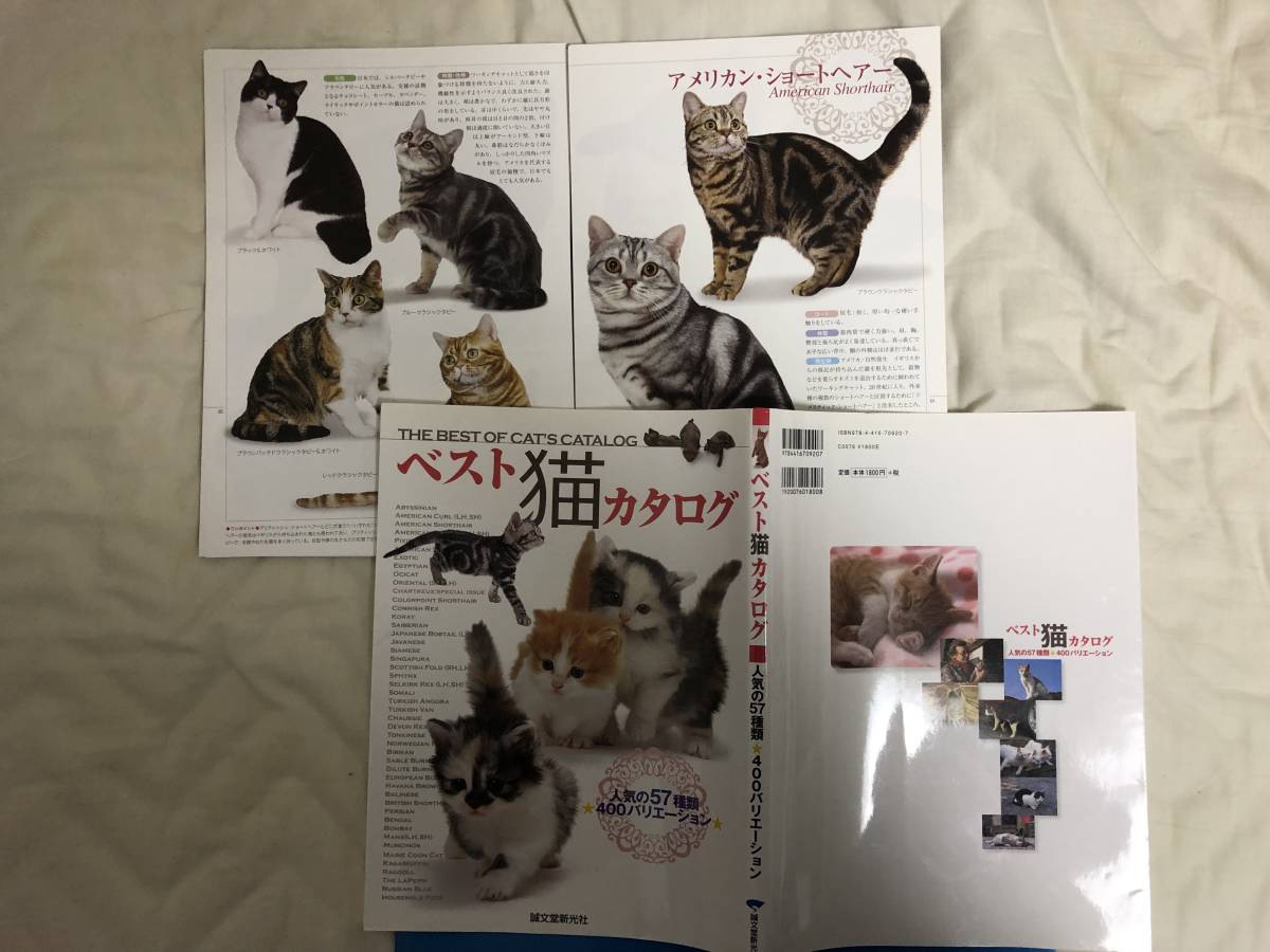 代購代標第一品牌 樂淘letao 裁断済 キャッツワールド編集部 編集 ベスト猫カタログ 人気の57種類400バリエーション