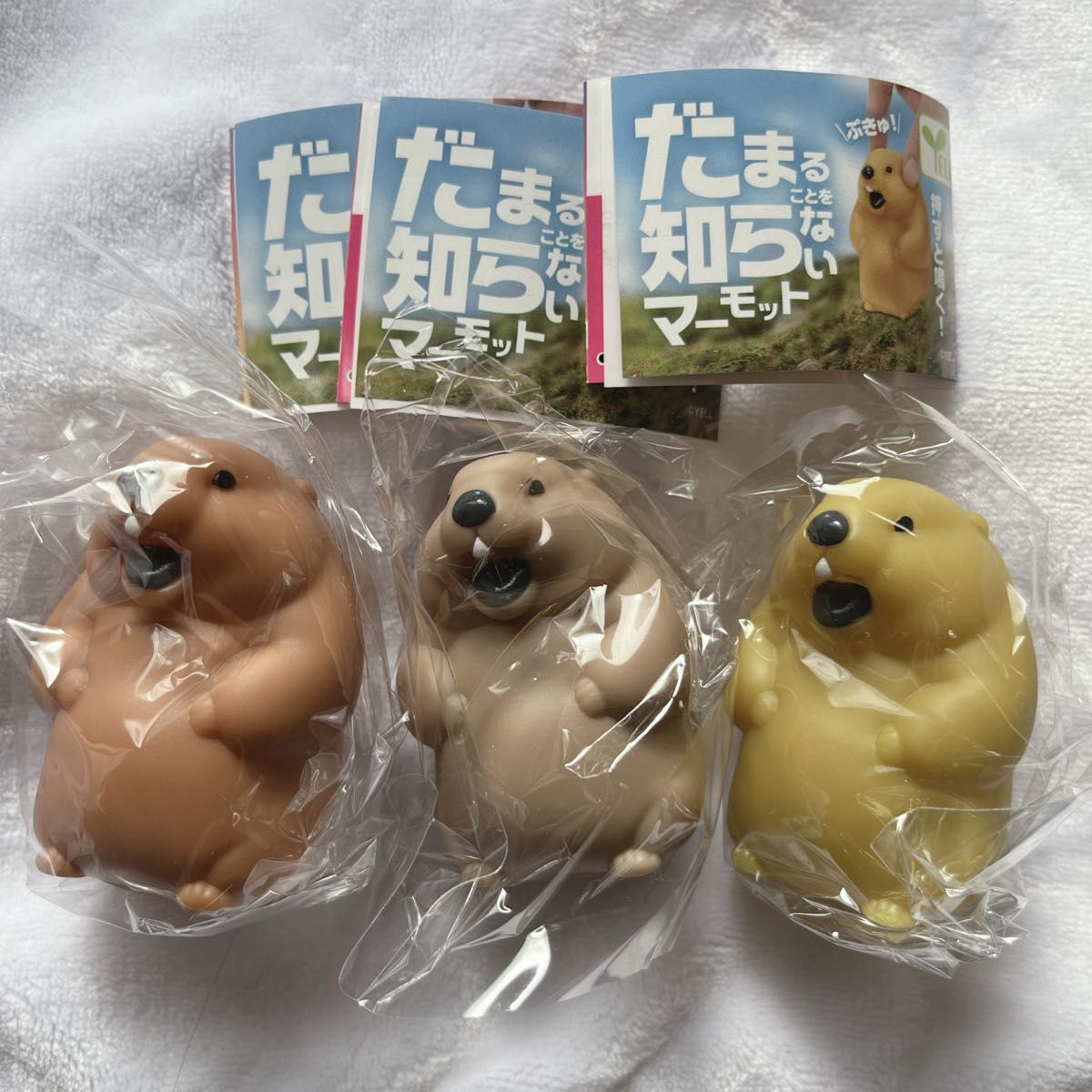だまることを知らない マーモット ガチャ コンプリート セット だまることを知らない マーモット ガチャ コンプリート セット