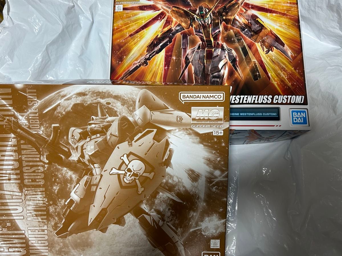 MG デスティニーガンダム(ハイネ専用機) &モビルジン(ミゲル MG デスティニーガンダム(ハイネ専用機) &モビルジン(ミゲル