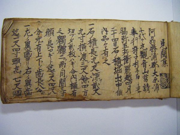 8160円 江戸 古文書 伊達「主に 仙台藩 死人に魔の入る事 / 正徳 8160円 江戸 古文書 伊達「主に 仙台藩 死人に魔の入る事 / 正徳