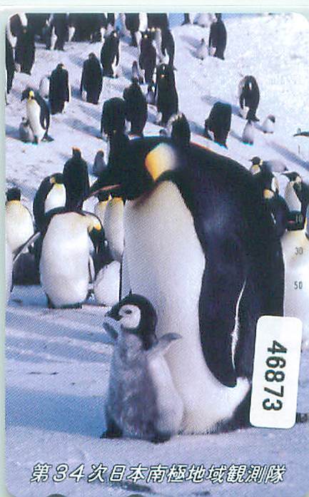 ４６８７３★第34次日本南極地域観測隊　ペンギン　テレカ★_画像1