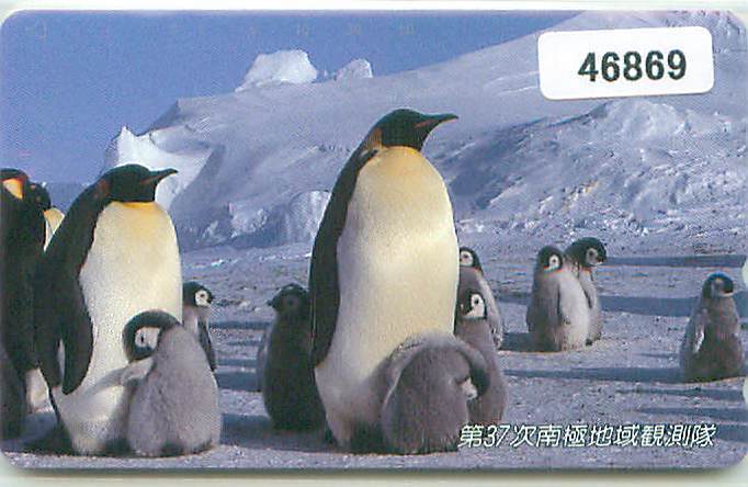 ４６８６９★第37次日本南極地域観測隊 ペンギン テレカ★の画像1