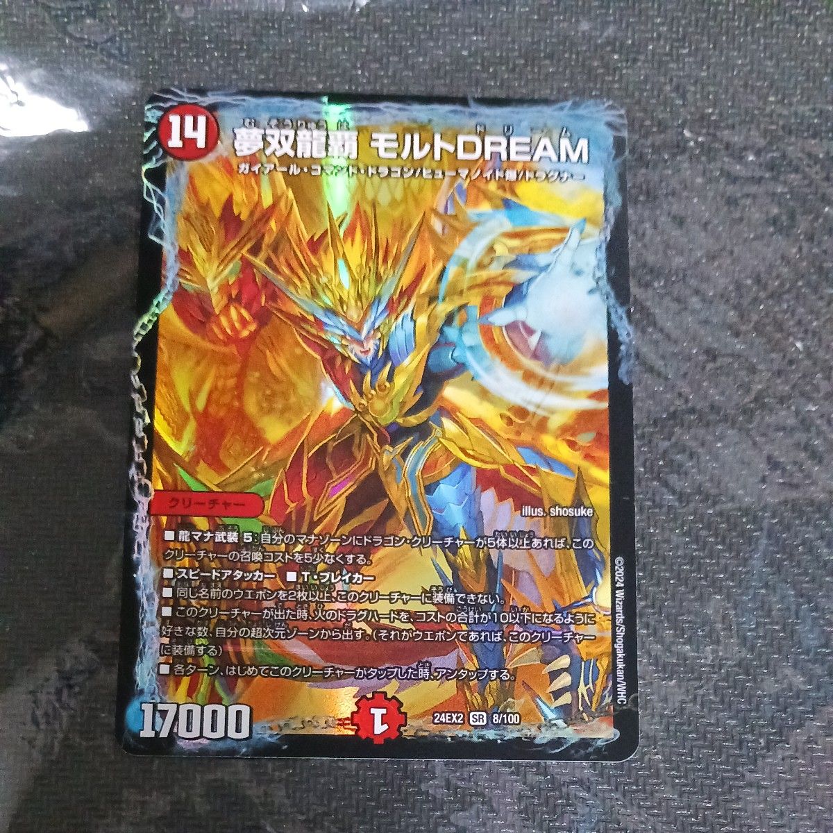 予約中!】 金 モルトdream モルトドリーム ゴールド 予約中!】 金 モルトdream モルトドリーム ゴールド