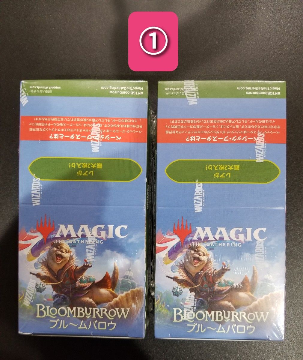 ブルームバロウプレイブースター2BOX 英語版