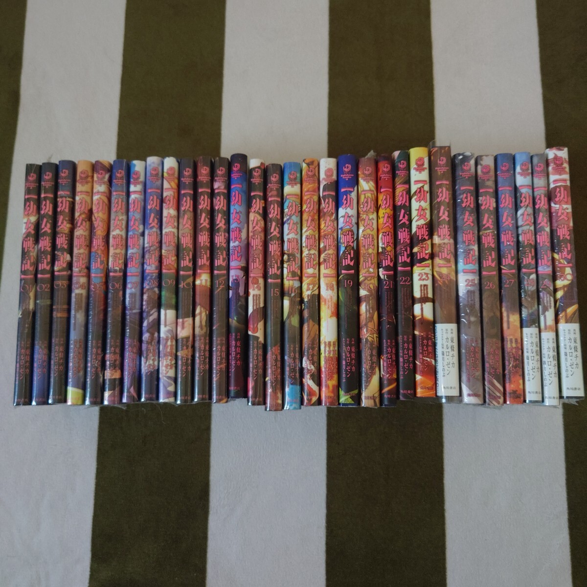 幼女戦記 1〜30巻 新品未読セット 既刊全巻セット 幼女戦記 1〜30巻 新品未読セット 既刊全巻セット