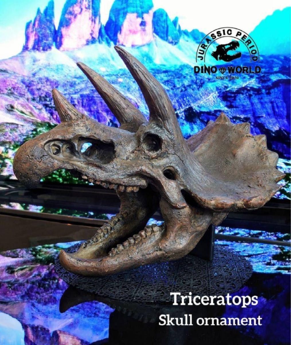 お得な2個セット 恐竜の化石 ティラノサウルス トリケラトプス お得な2個セット 恐竜の化石 ティラノサウルス トリケラトプス