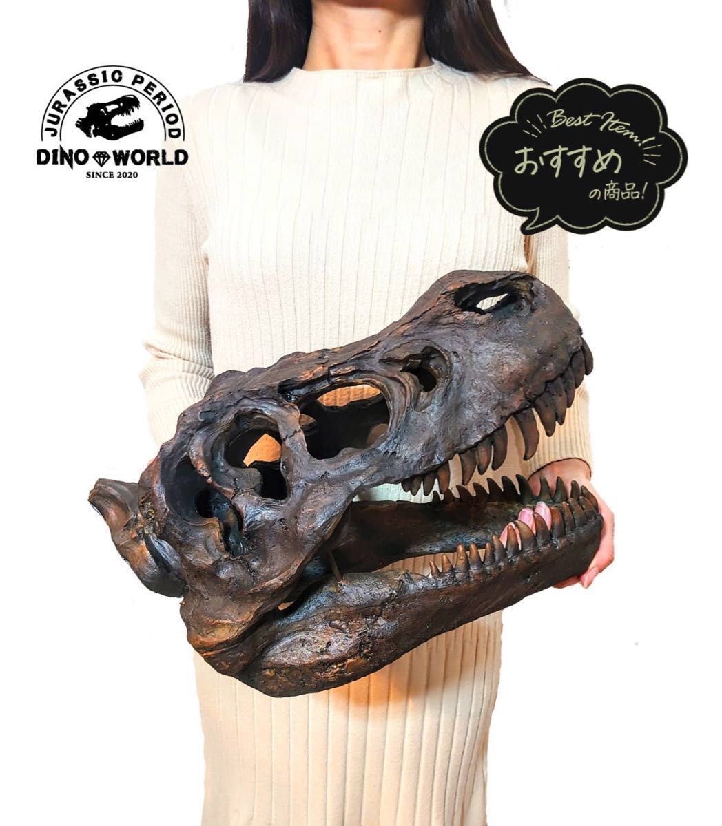 お得な2個セット 恐竜の化石 ティラノサウルス トリケラトプス お得な2個セット 恐竜の化石 ティラノサウルス トリケラトプス