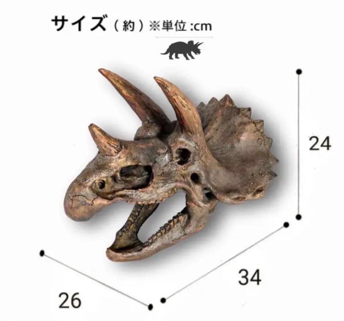 DINOWORLD】トリケラトプス 頭骨 化石 レプリカ 恐竜 フィギュア DINOWORLD】トリケラトプス 頭骨 化石 レプリカ 恐竜 フィギュア
