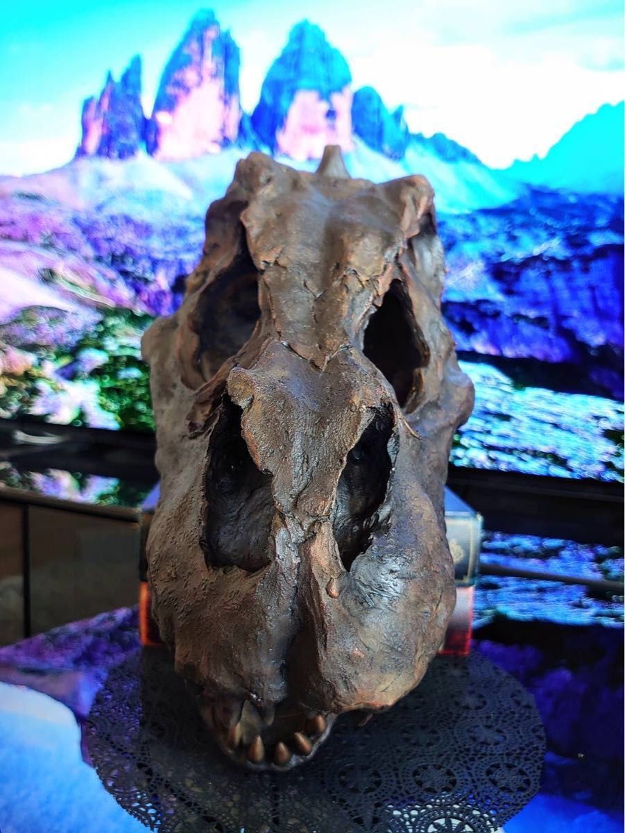 お得な2個セット 恐竜の化石 ティラノサウルス トリケラトプス お得な2個セット 恐竜の化石 ティラノサウルス トリケラトプス