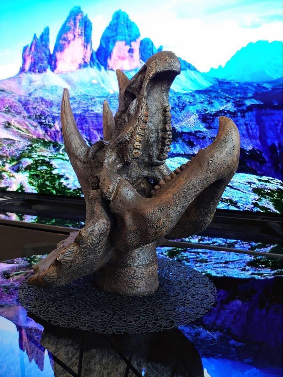 お得な2個セット 恐竜の化石 ティラノサウルス トリケラトプス お得な2個セット 恐竜の化石 ティラノサウルス トリケラトプス