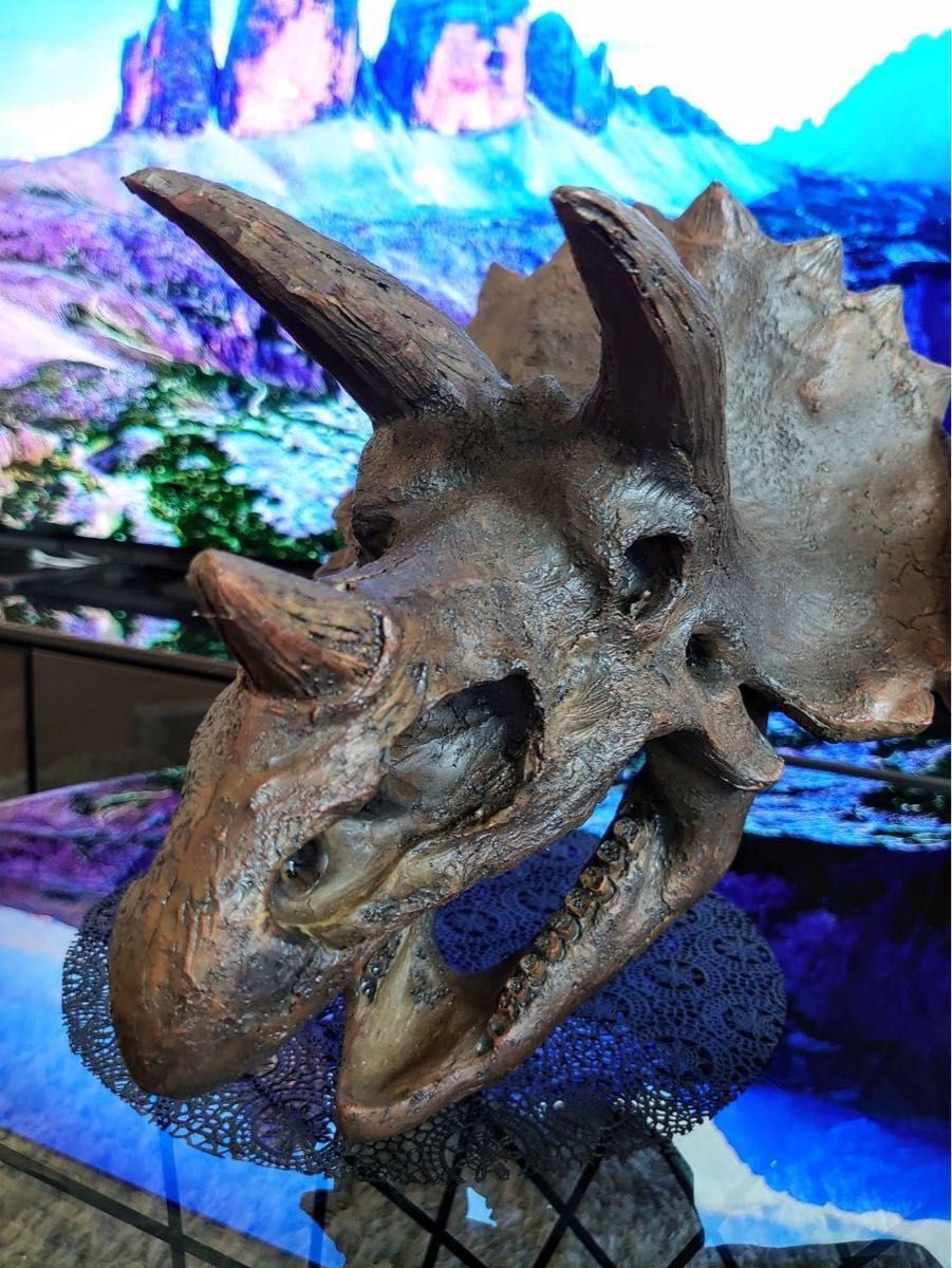 お得な2個セット 恐竜の化石 ティラノサウルス トリケラトプス お得な2個セット 恐竜の化石 ティラノサウルス トリケラトプス