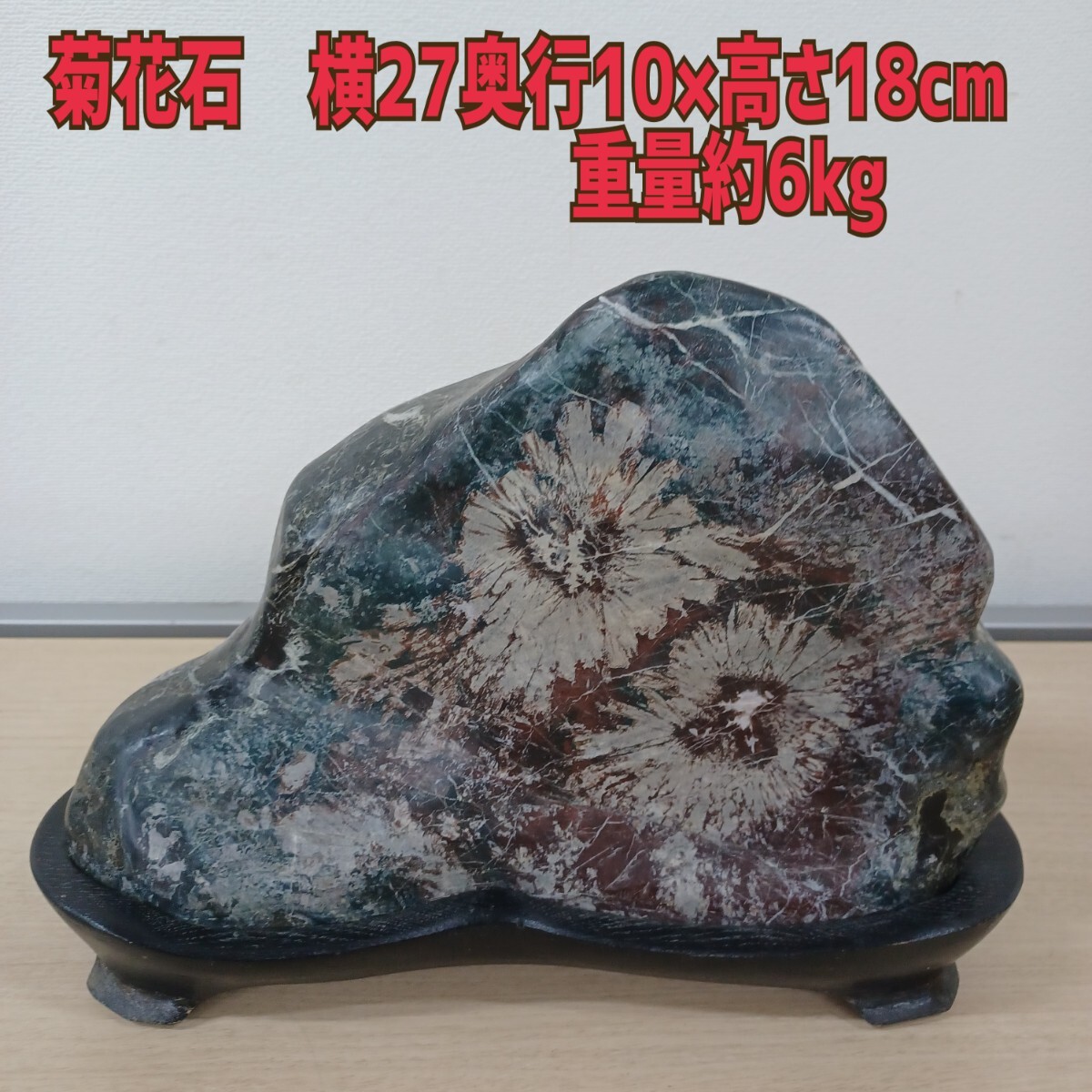菊花石 飾り石 木製台座 - 置物、オブジェ 菊花石 飾り石 木製台座 - 置物、オブジェ