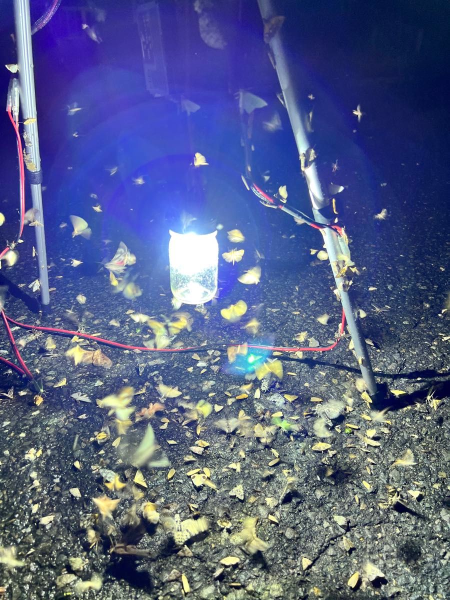 灯火採集 吊り下げ ライトトラップ HID35w 紫外線放出加工済 灯火採集 吊り下げ ライトトラップ HID35w 紫外線放出加工済