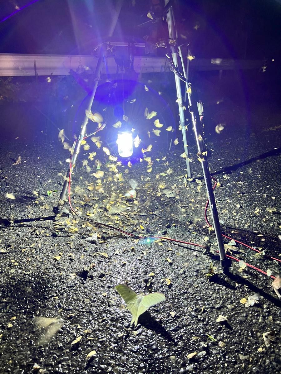 灯火採集 吊り下げ ライトトラップ HID35w 紫外線放出加工済 灯火採集 吊り下げ ライトトラップ HID35w 紫外線放出加工済