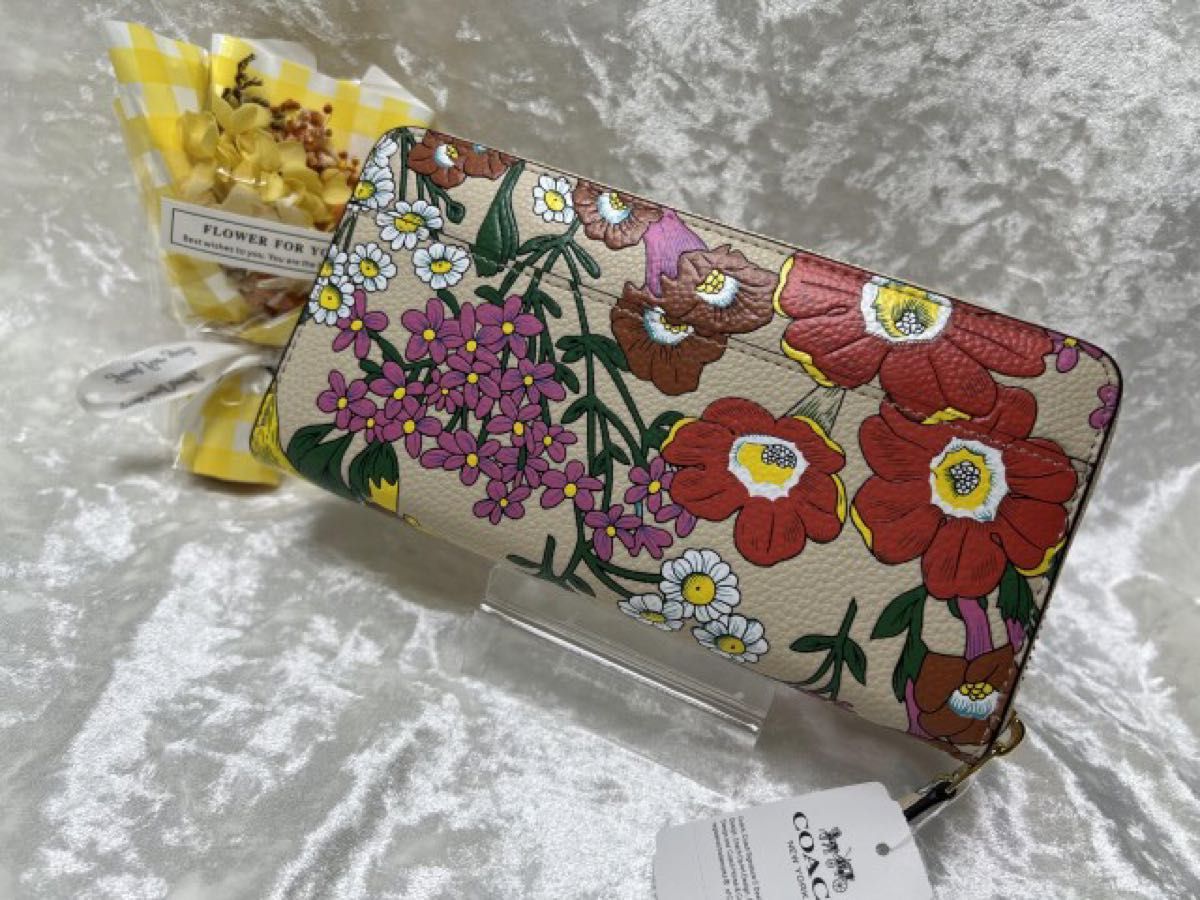 コーチ 長財布 COACH 財布 アコーディオン ロング ジップ コーチ 長財布 COACH 財布 アコーディオン ロング ジップ