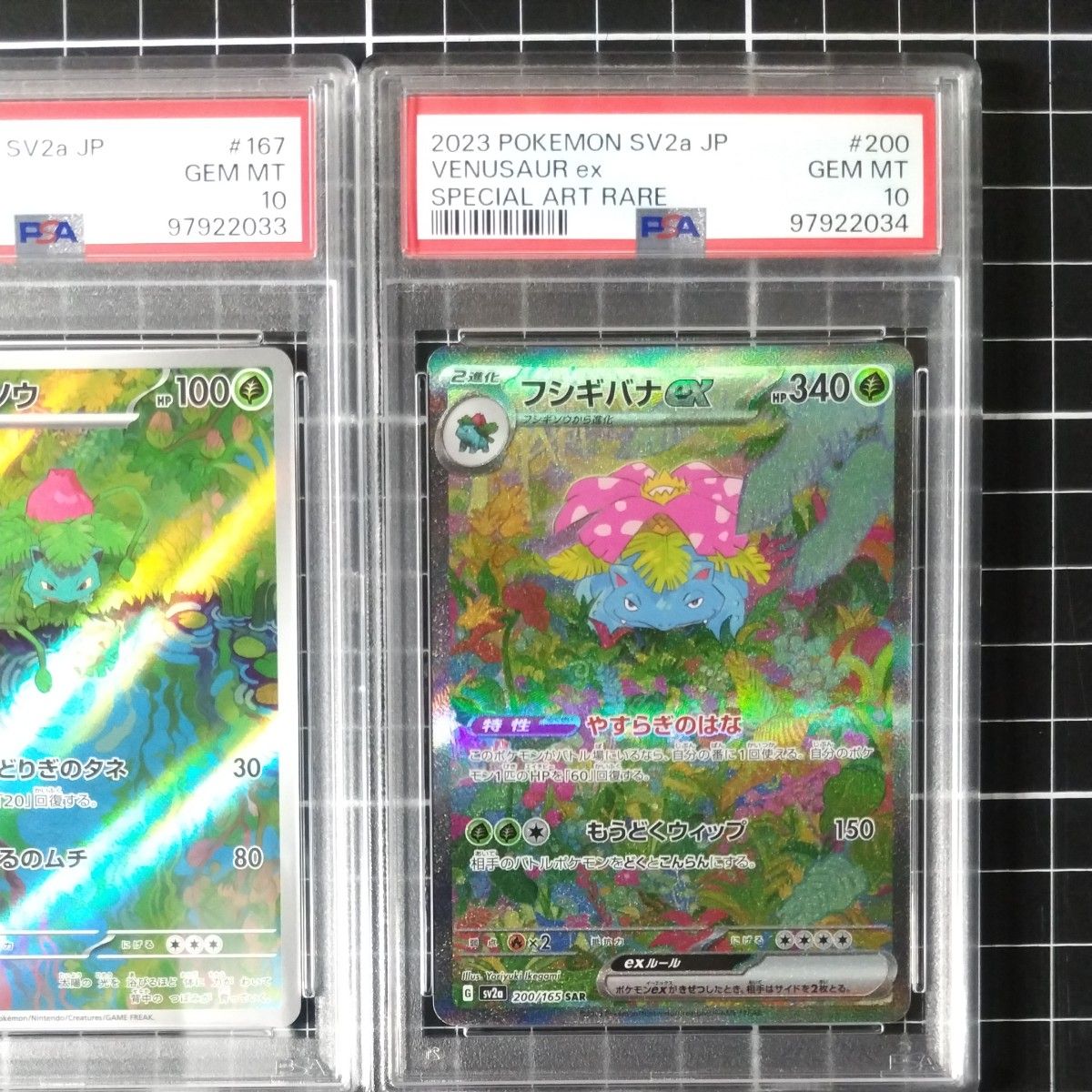 PSA10 連番 フシギダネAR フシギソウAR フシギバナex SAR|Yahoo PSA10 連番 フシギダネAR フシギソウAR フシギバナex SAR|Yahoo