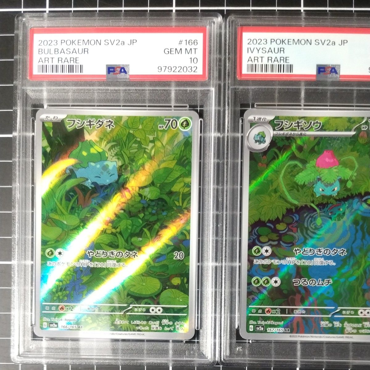 PSA10 連番 フシギダネAR フシギソウAR フシギバナex SAR|Yahoo PSA10 連番 フシギダネAR フシギソウAR フシギバナex SAR|Yahoo