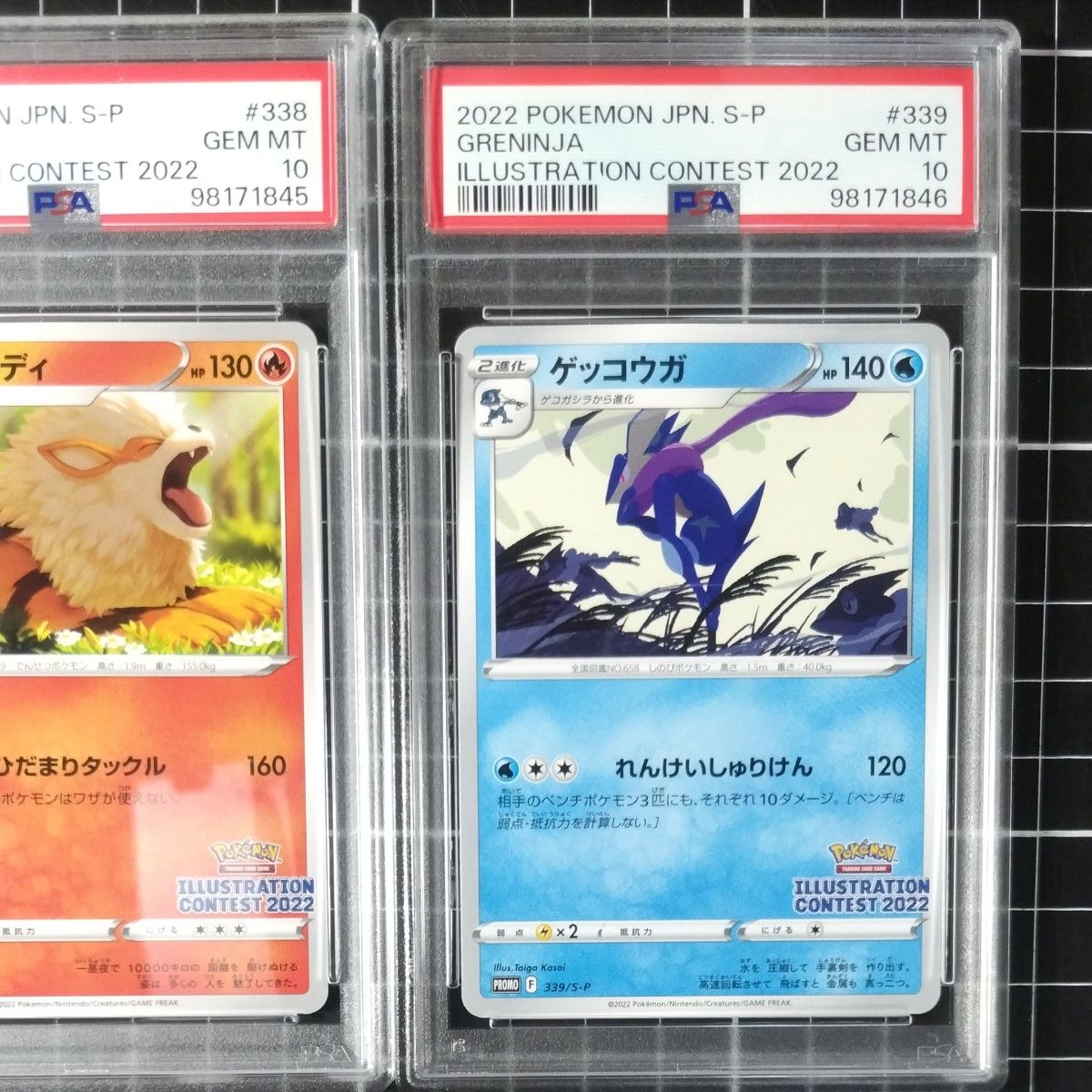 PSA10 連番 イラストレーションコンテスト2022 フシギダネ PSA10 連番 イラストレーションコンテスト2022 フシギダネ