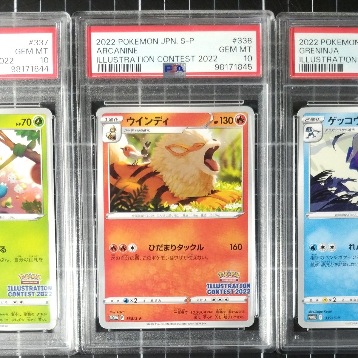 PSA10 連番 イラストレーションコンテスト2022 フシギダネ PSA10 連番 イラストレーションコンテスト2022 フシギダネ