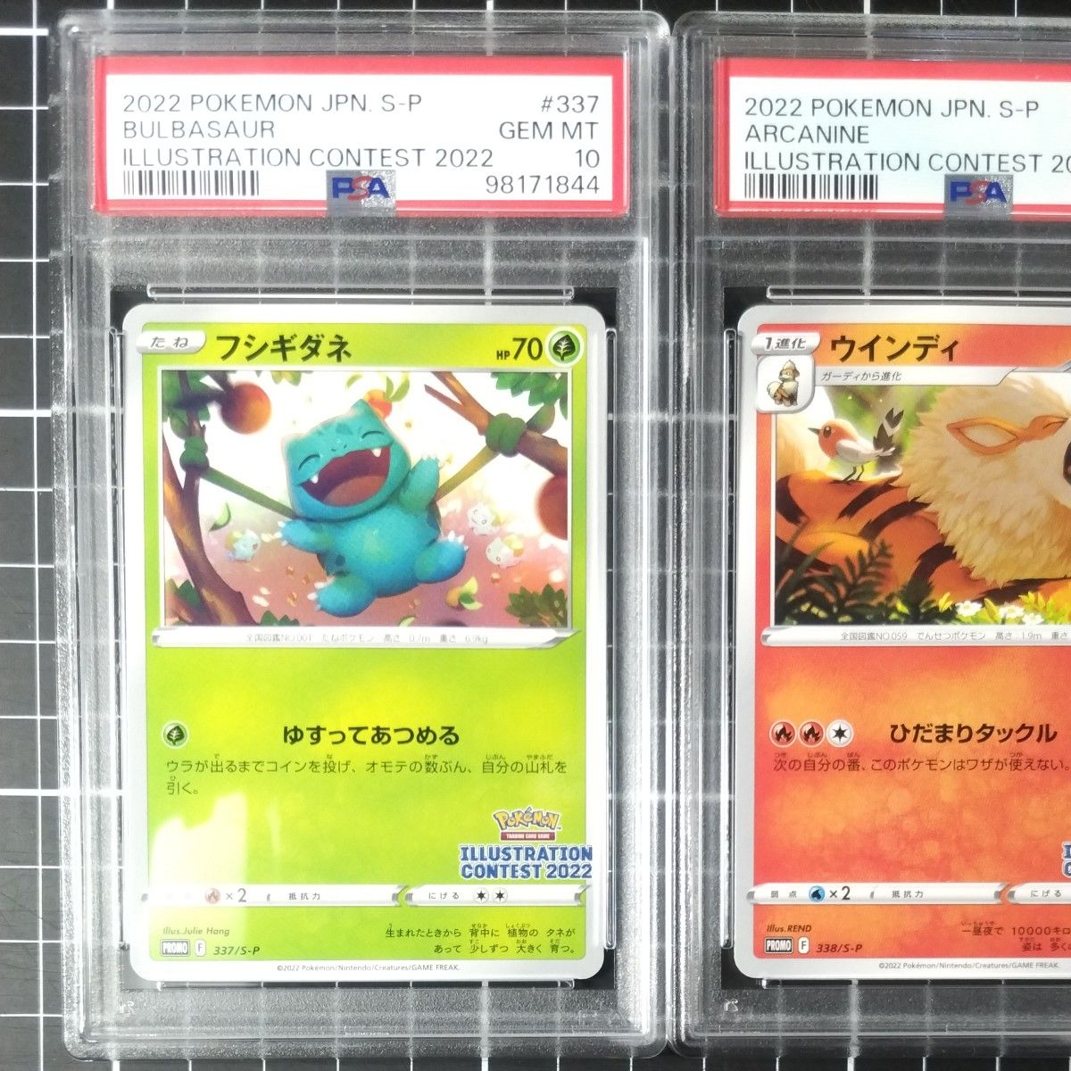 PSA10 連番 イラストレーションコンテスト2022 フシギダネ PSA10 連番 イラストレーションコンテスト2022 フシギダネ