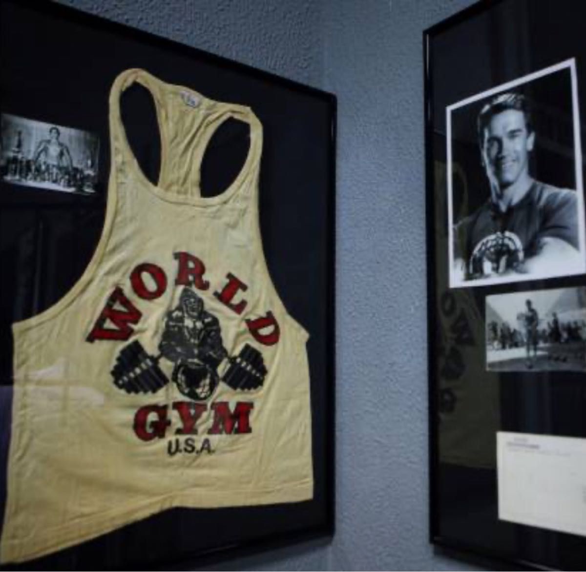 ワールドジムWORLD GYM・タンクトップ #venice california ワールドジムWORLD GYM・タンクトップ #venice california
