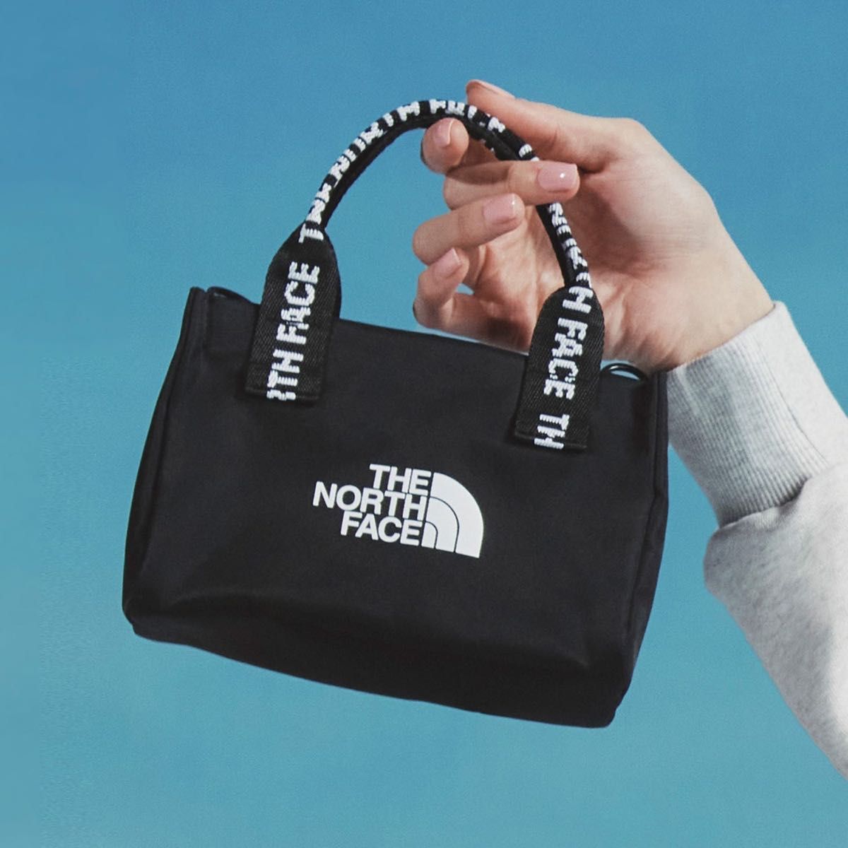 THE NORTH FACE ダウンバッグ クロス トートバッグ ミニ THE NORTH FACE ノースフェイス ミニ クロス トートバッグ WL